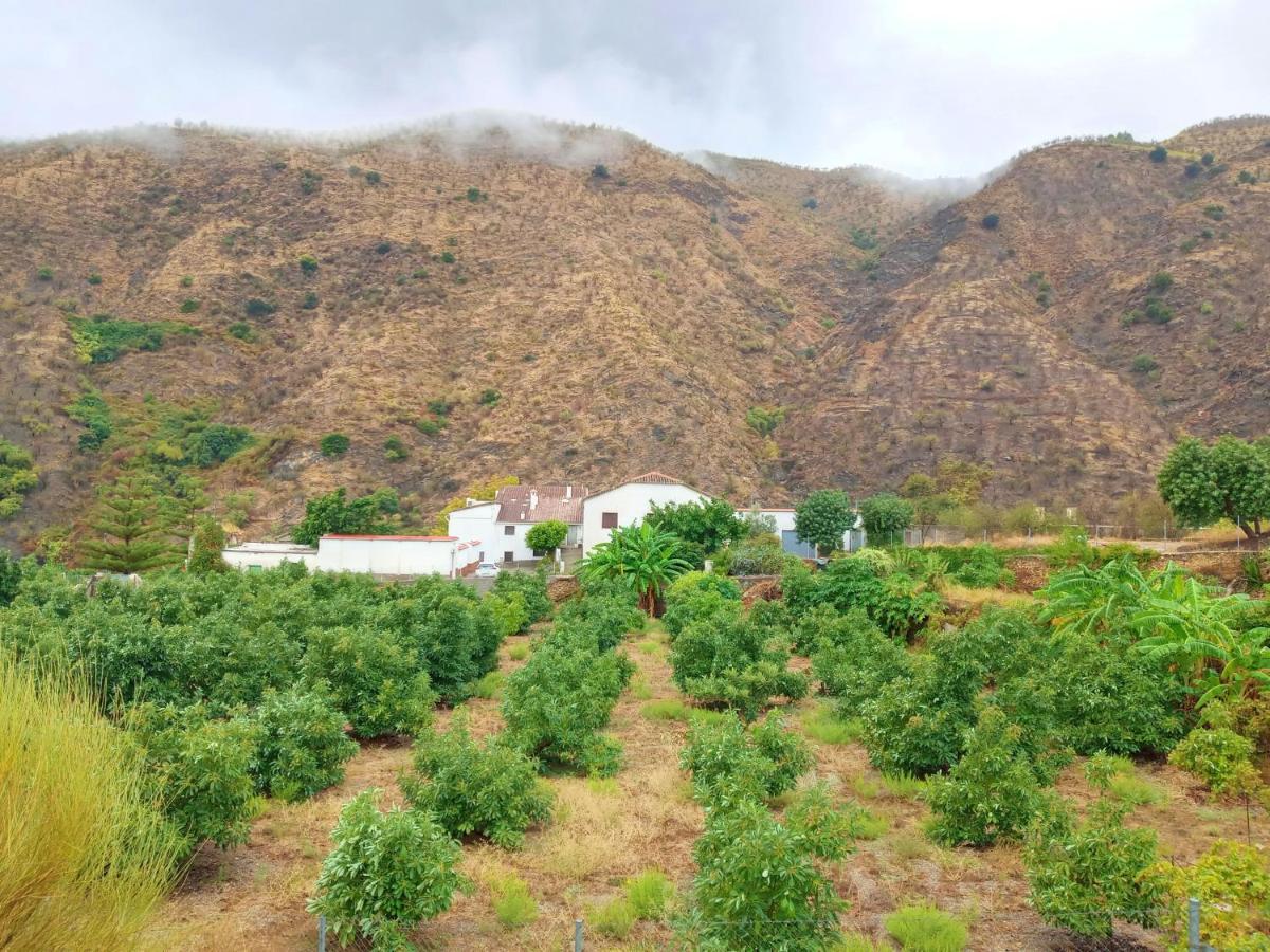 Вілла La Casita Azul - Casa Tipica Andaluza Albunol Екстер'єр фото